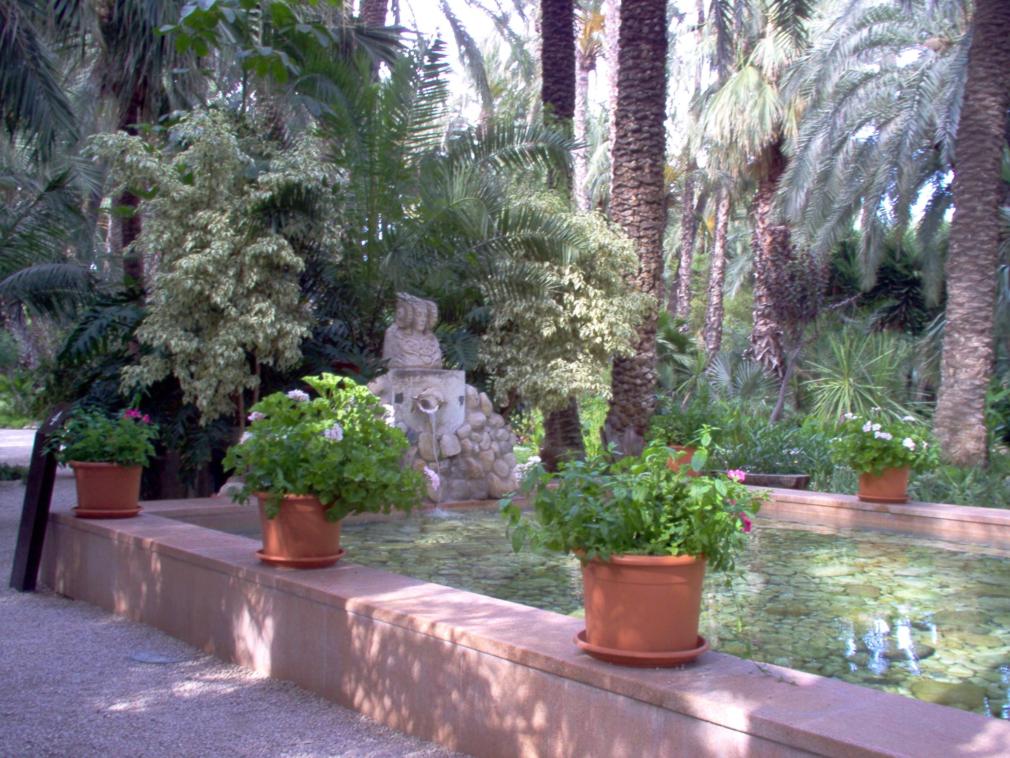 Alicante and Elche June, the huerto del cura, Elche national artistic garden