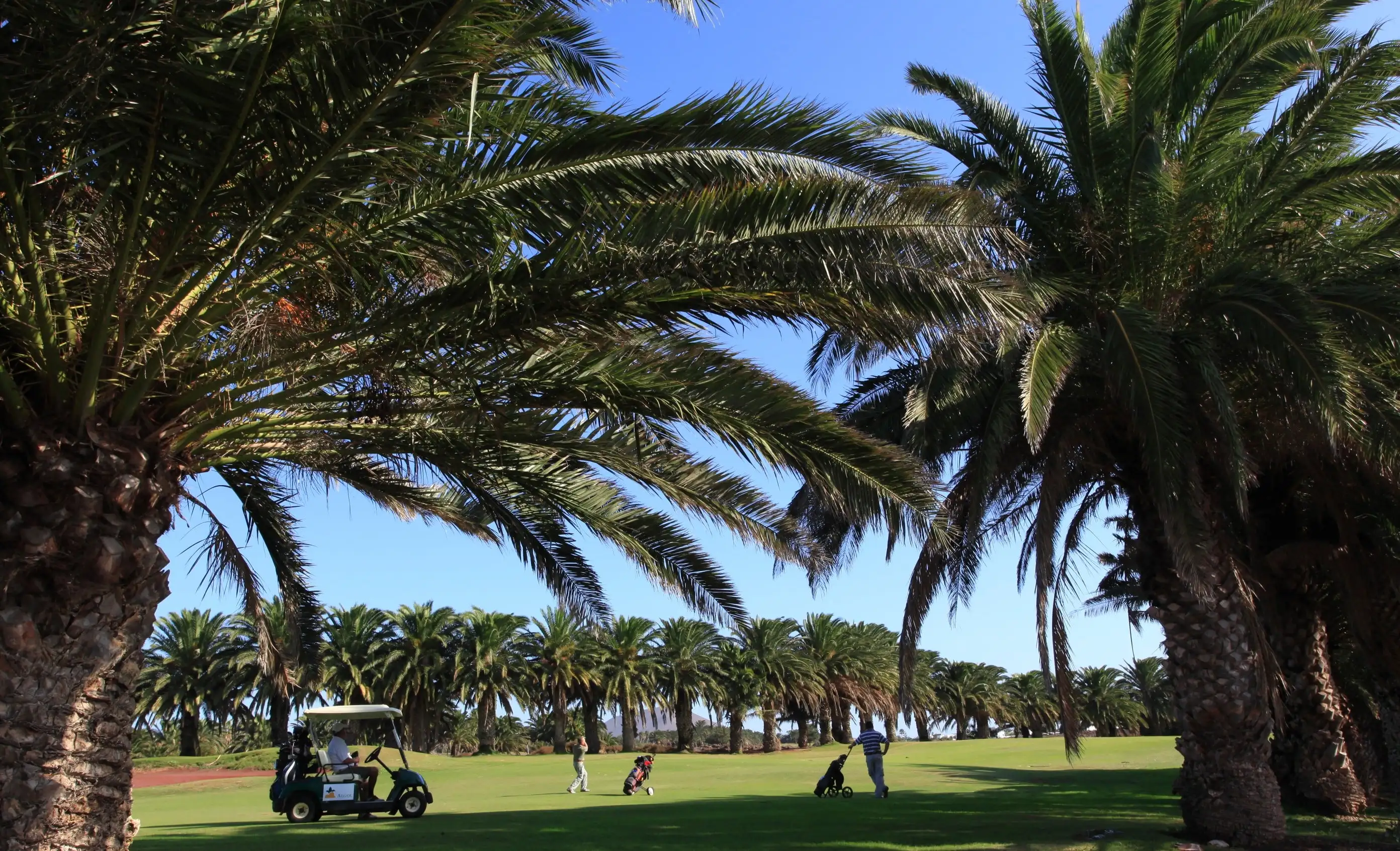 Costa Teguise Golf