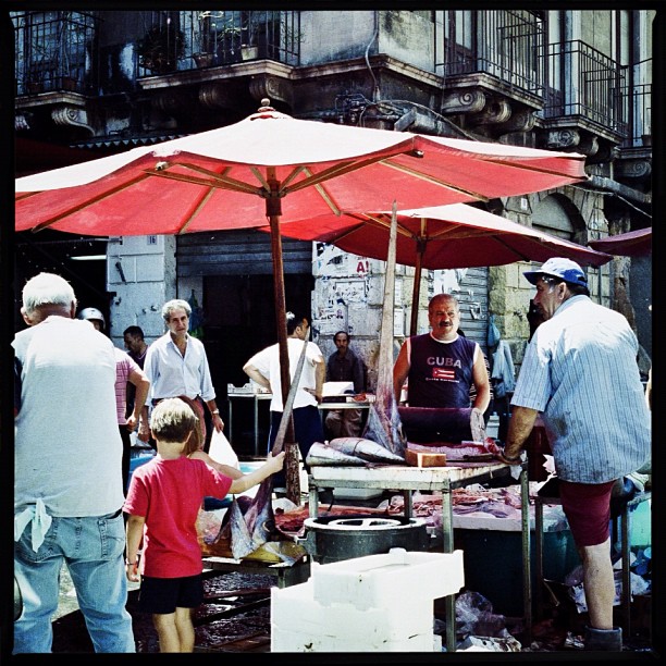 Fish Market in Catania