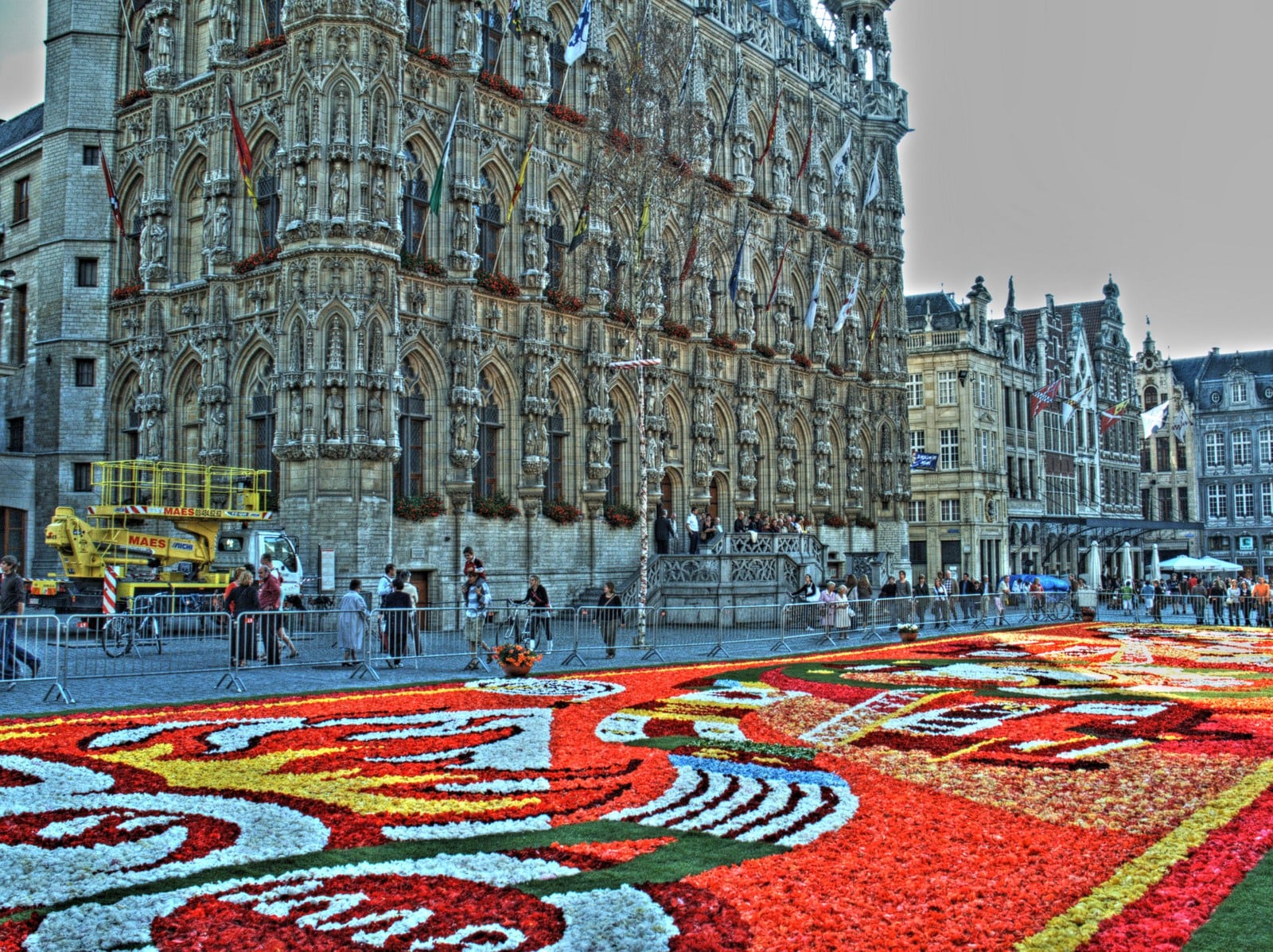 Flower carpet in Leuven