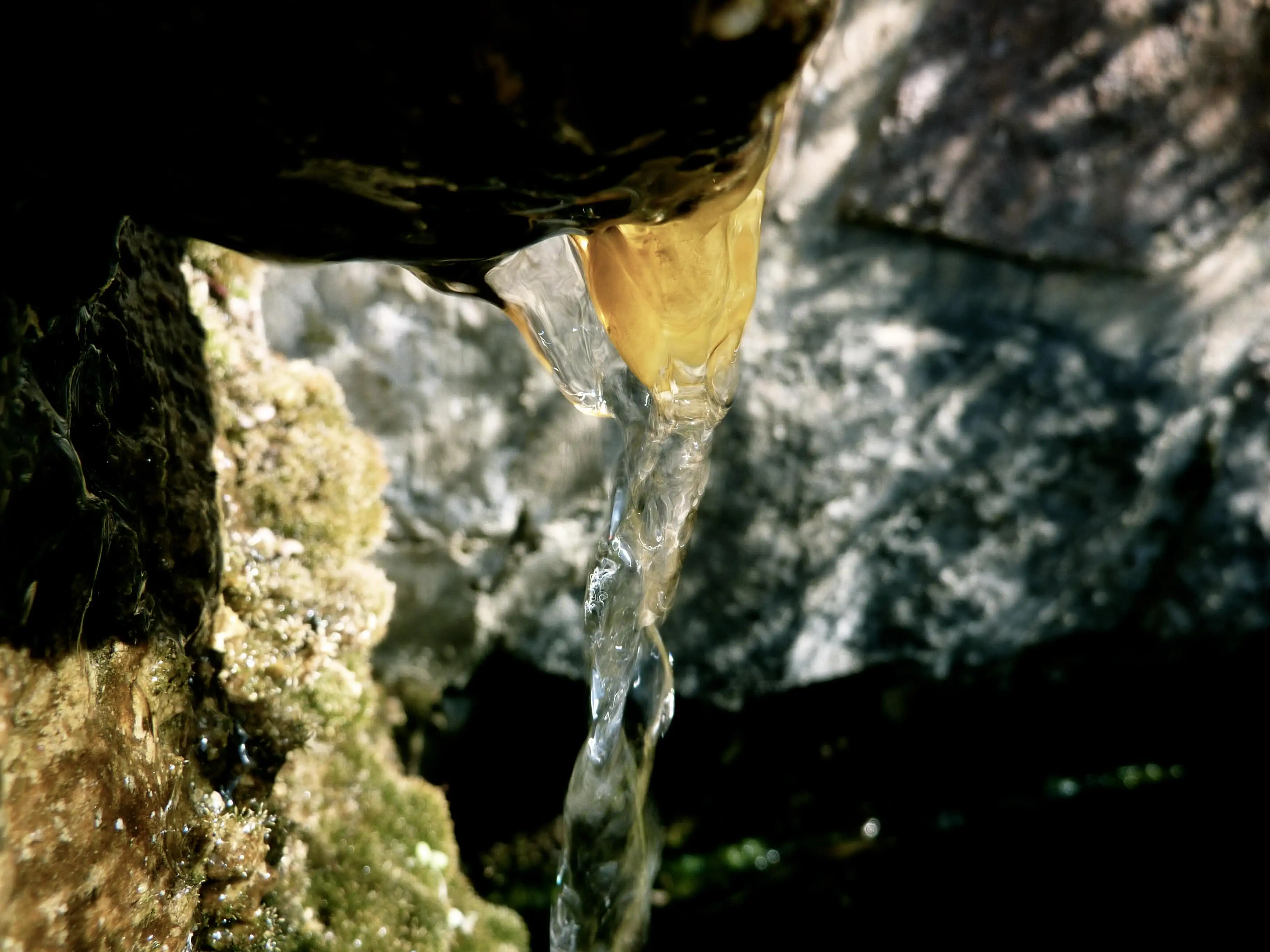 Font del Poll, Sierra Calderona