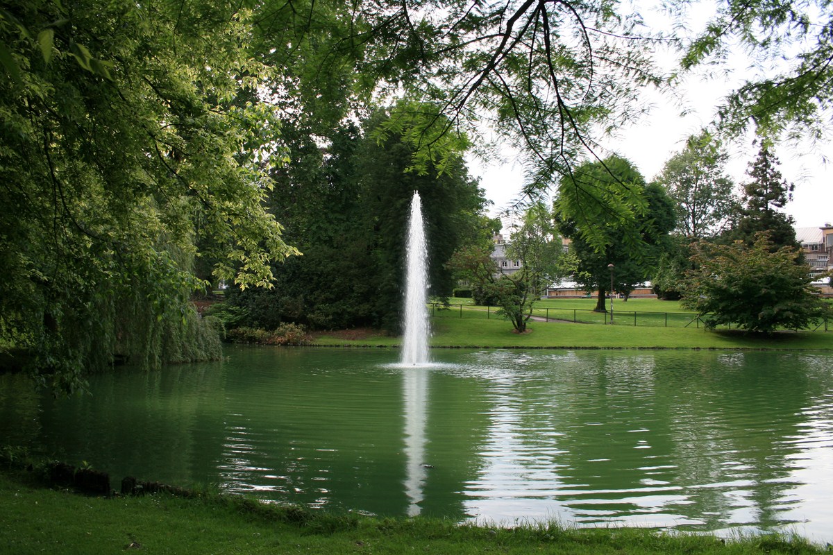 Fountain in the botanical garden