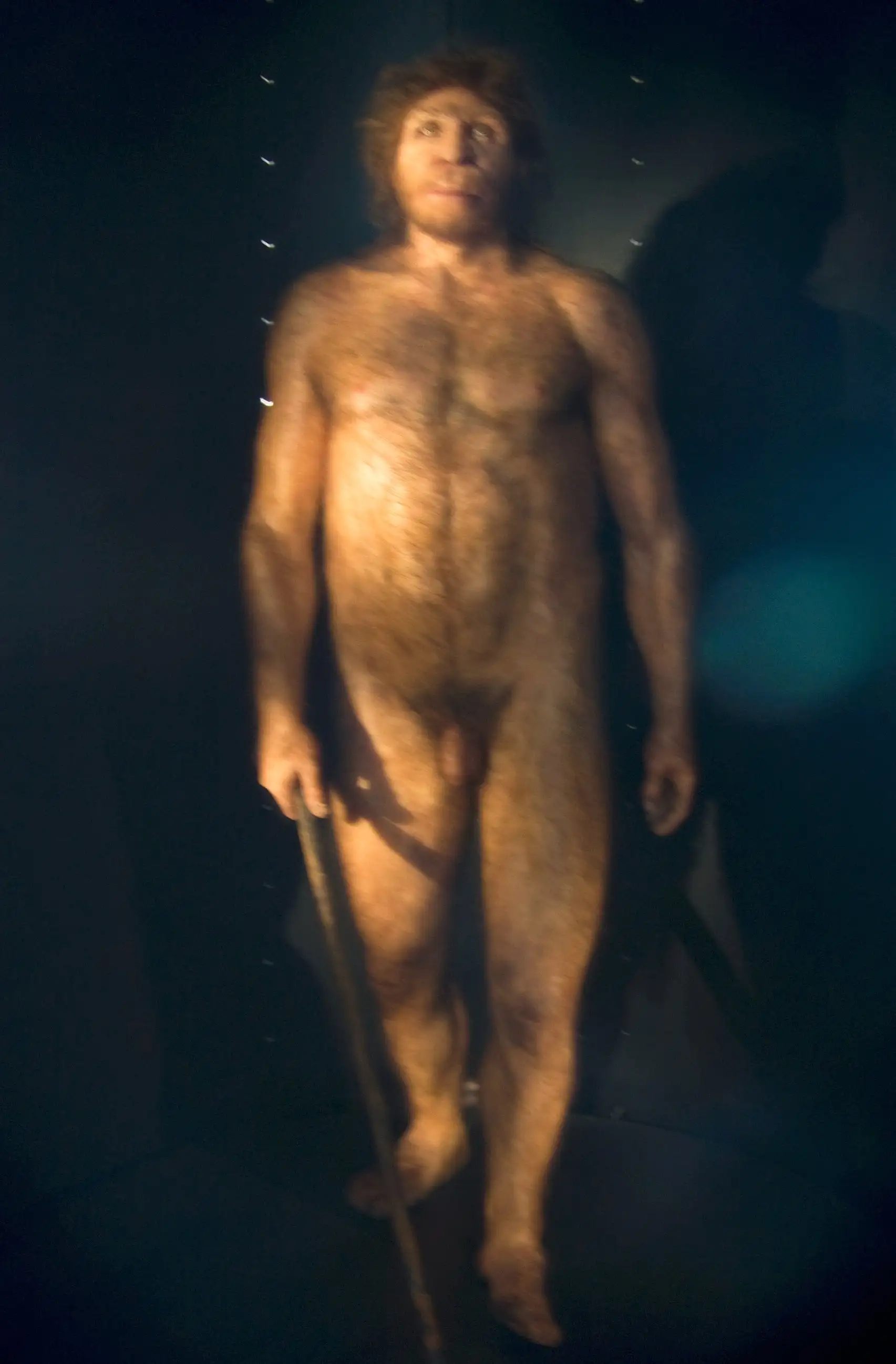Miguelón.Museo de la Evolución Humana.Burgos