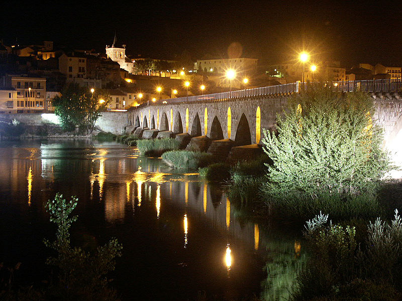 Panorámica nocturna del Puente de Piedra