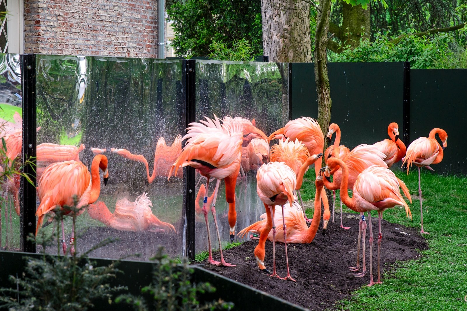 Zoo Antwerp, Belgium