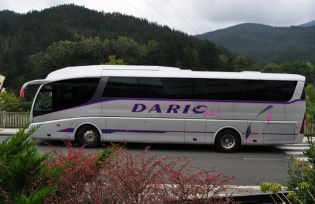 Autobuses Dario 55