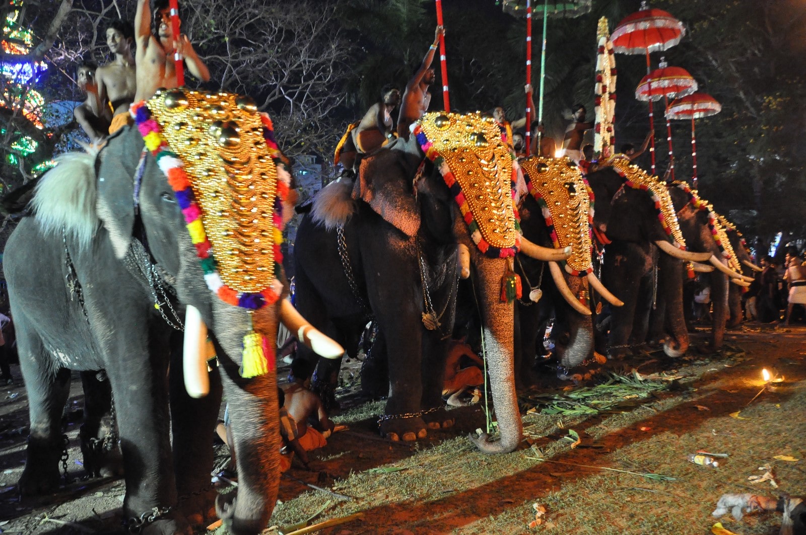 Caparisoned elephants gear up for the procession