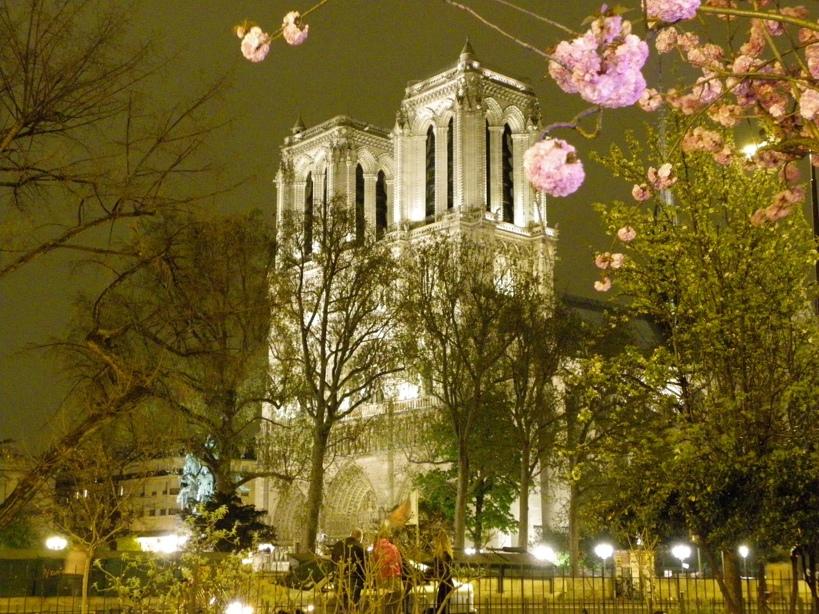 Notre Dame 1