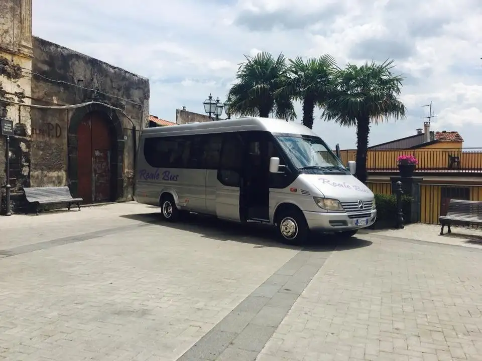 RealeBus 24