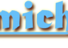 DIMICHELE VIAGGI logo