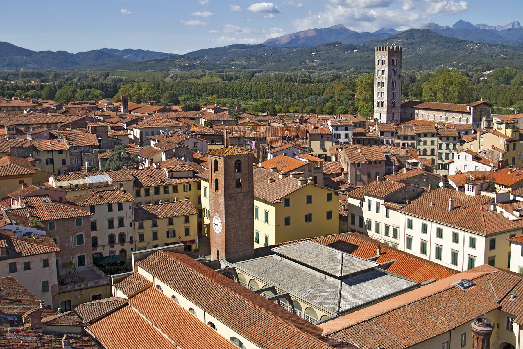 Lucca 3149