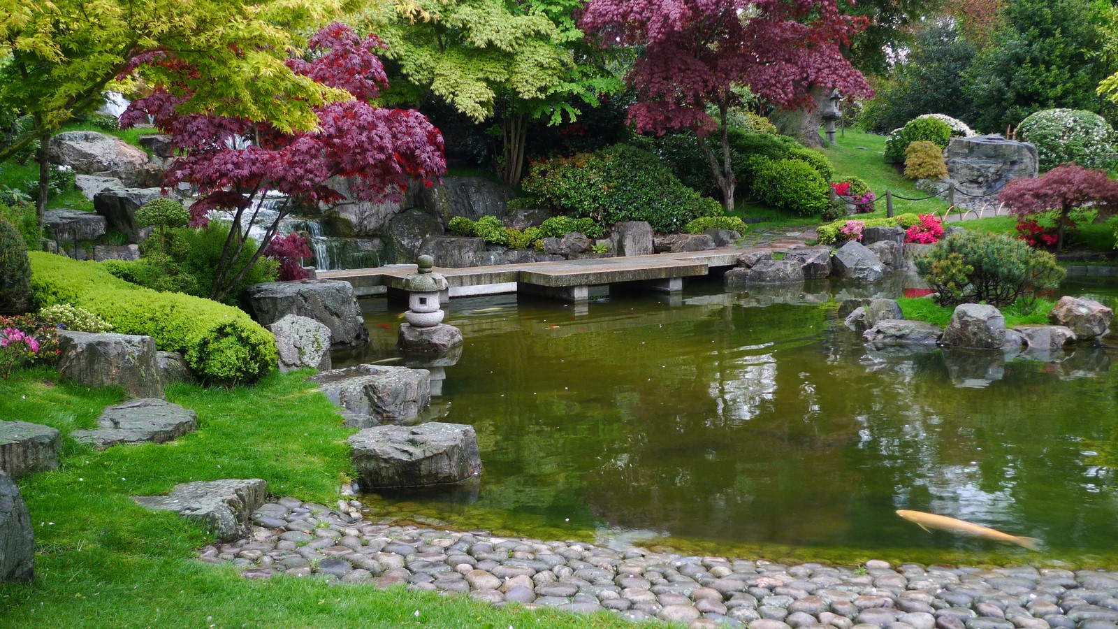 Kyoto Gardens, Holland Park, Royal London Borough of Kensington and Chelsea