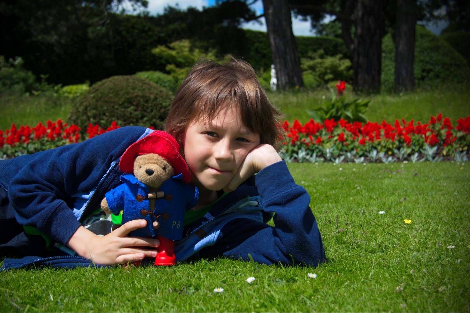 Paddington bear with Max in the Garden