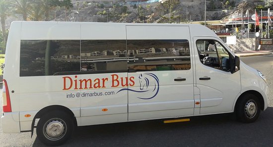 Rent a 13 seater Microbus (FIAT DUCATO 2013) from DIMAR  BUS  S.L.U. from Telde 