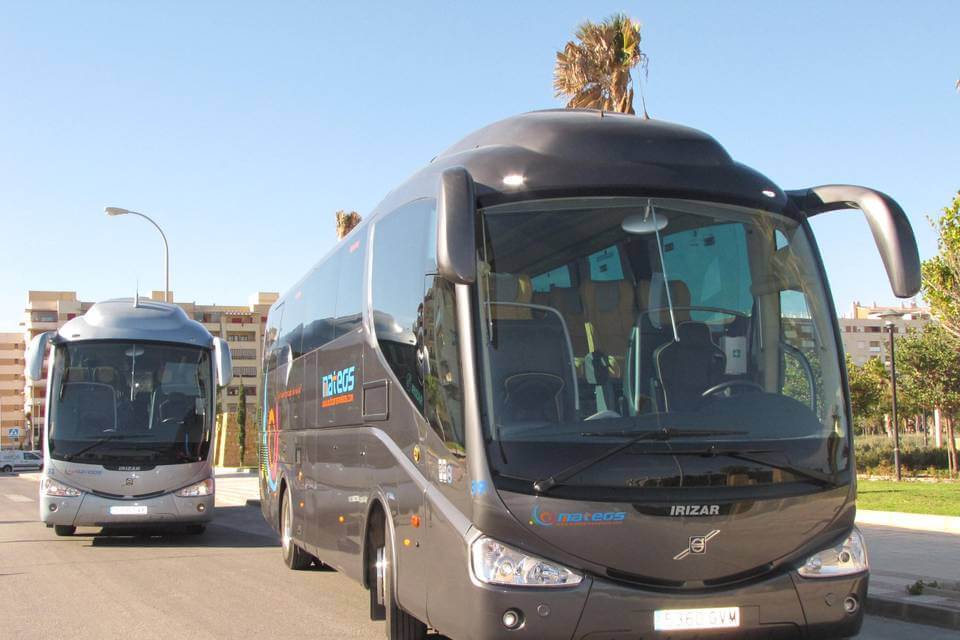 Hire a 56 seater Standard Coach (. Autocar estándar con los servicios básicos 2010) from AUTOCARES MATEOS in Málaga