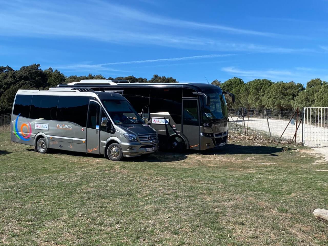 Rent a 19 seater Minibus (Mercedes Sprinter 2014) from AUTOCARES MATEOS from Málaga