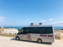 Rent a 20 seater Midibus (mercedes Sprinter  2018) from REALEBUS from BUCCHERI (SR) 
